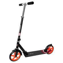 Two Wheels Kick Scooter Adult